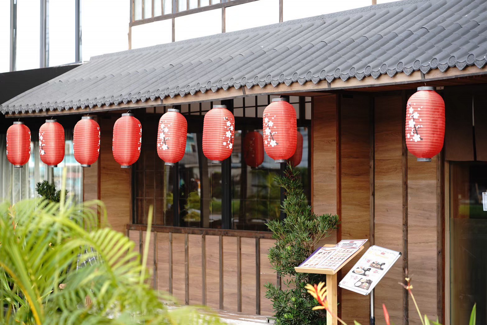 Korsushi