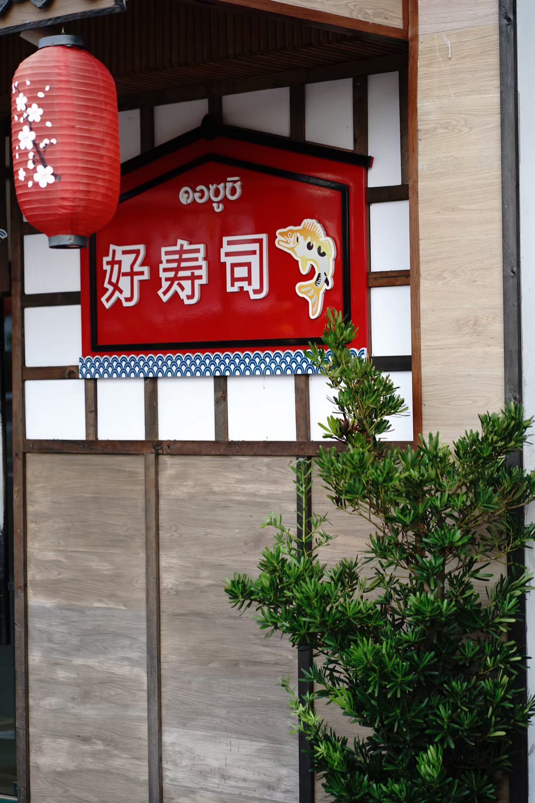 Korsushi