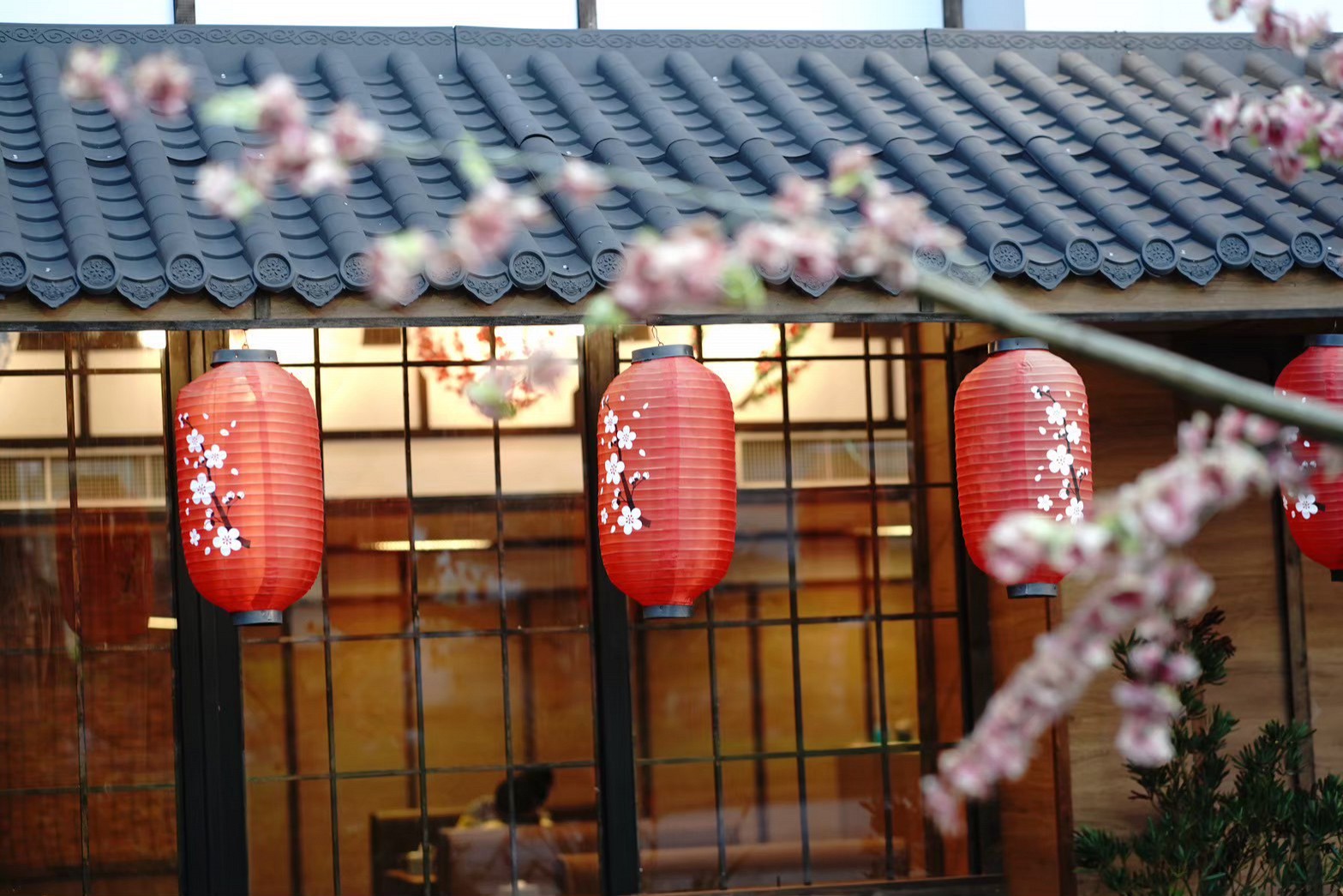 Korsushi