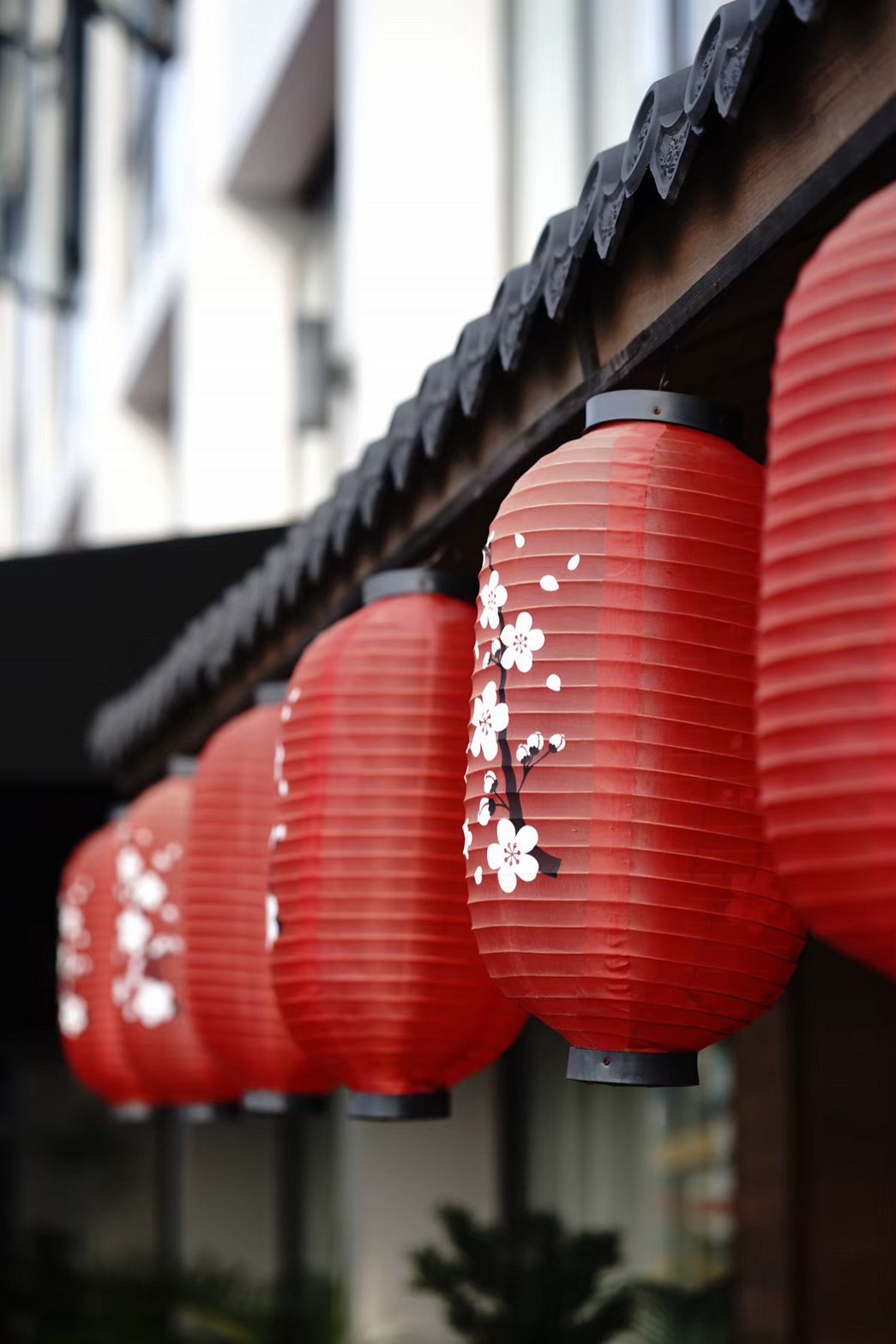 KorSushi